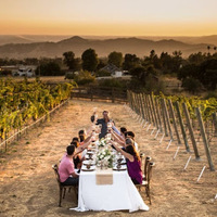 Cultural Heritage Curator Miramar Vineyards in San Martin CA