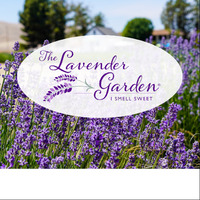 Cultural Heritage Curator The Lavender Garden in Lost Hills CA