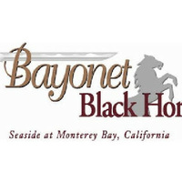 Bayonet & Black Horse