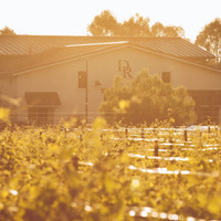 Cultural Heritage Curator Dante Robere Vineyards in Livermore CA