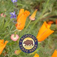 Antelope Valley California Poppy Reserve