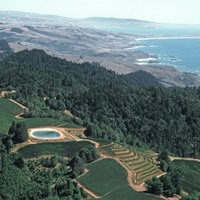 Cultural Heritage Curator Fort Ross Vineyard Tasting Room in Jenner CA