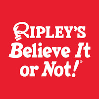 Cultural Heritage Curator Ripley's Believe It or Not! in Hollywood CA