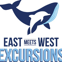 Cultural Heritage Curator East Meets West Whale Watching in Newport Beach CA