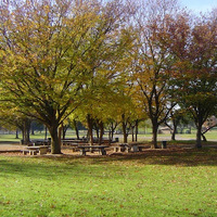 Cultural Heritage Curator Hagan Community Park in Rancho Cordova CA