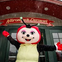 Cultural Heritage Curator Adirondack Carousel in Saranac Lake NY