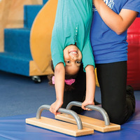 Cultural Heritage Curator My Gym Children's Fitness Center in Folsom CA