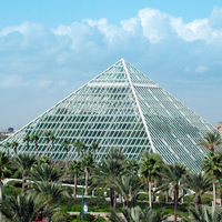 Rainforest Pyramid