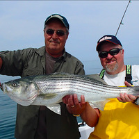 Bucktail Fishing Charters