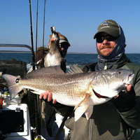 Pawleys Island Guide Service