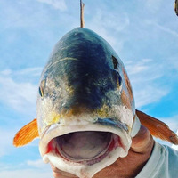 Cultural Heritage Curator JEKYLL FISHING in Jekyll Island GA