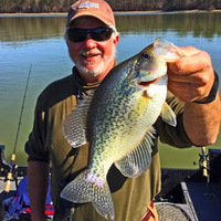 Cultural Heritage Curator Scenic City Fishing Charters in Sale Creek TN