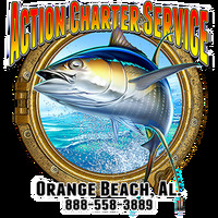 Action Charter Service