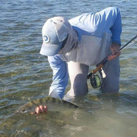 Cultural Heritage Curator Key West Flats & Backcountry Fishing Charters in Key West FL