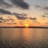 Cultural Heritage Curator Spot N Tail Charters - New Smyrna Beach in New Smyrna Beach FL