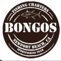 Bongos Sportfishing Charters & 6 Pack Rentals