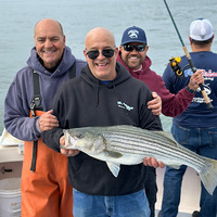 Cultural Heritage Curator Boston Fish Tales in Boston MA