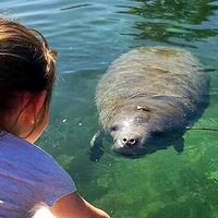 Cultural Heritage Curator River Adventure Tours in Homosassa FL