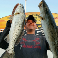 Cultural Heritage Curator YKnotFish.com in Steinhatchee FL