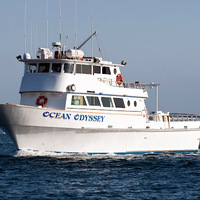 Cultural Heritage Curator Ocean Odyssey in San Diego CA