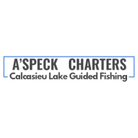 A-Speck Charters