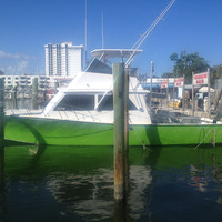 Cultural Heritage Curator Y B Normal SportFishing Charters in Hollywood FL