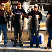 Manolin Fishing Charters