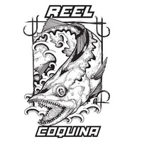 Cultural Heritage Curator Reel Coquina Fishing Charters in St. Petersburg FL