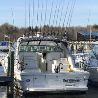 Cultural Heritage Curator SuFISHient Charters in Holland MI