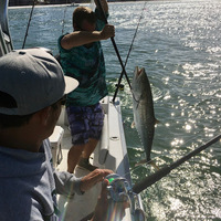 Cultural Heritage Curator Salty Dog Charters in Madeira Beach FL