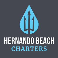 Cultural Heritage Curator Hernando Beach Charters in Hernando Beach FL