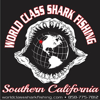 Cultural Heritage Curator World Class Shark Fishing in San Diego CA