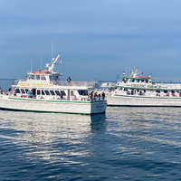 Cultural Heritage Curator Celtic Quest Fishing Party/Charter Boat in Port Jefferson NY