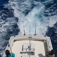 Miss Directed and Miss Guided Fishing Charters