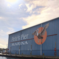 Cultural Heritage Curator Pete's Pier Marina in Crystal River FL