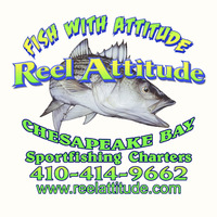 Reel Attitude Charters