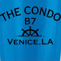 Cultural Heritage Curator The Condo B7 @ Venice Marina in Venice LA