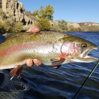 Cultural Heritage Curator Harcourt Fly Fishing 3G in New Castle CO