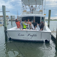 Cultural Heritage Curator over under sportfishing in Avalon NJ