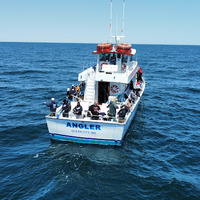 Cultural Heritage Curator Angler Deep Sea Fishing in Ocean City MD