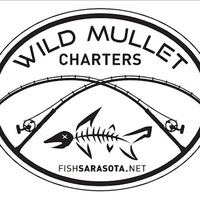 Cultural Heritage Curator Fishing Charters Sarasota, Wild Mullet in Sarasota FL