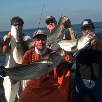 Cultural Heritage Curator Codfather Fishing Charters in Freeport NY