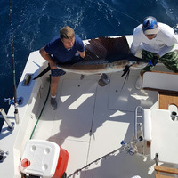 Cultural Heritage Curator Hook'N Up Fishing Charter in Hypoluxo FL