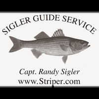 Cultural Heritage Curator Sigler Guide Service in Marblehead MA