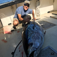 Cultural Heritage Curator Coastal Fishing Charters in Gloucester MA