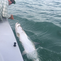 Cultural Heritage Curator Captain Jack Hartman in Sarasota FL