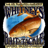 Whitney's Bait & Tackle