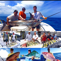 Cultural Heritage Curator Off the Chain Fishing Charters / S. P. F. Fishing In Stuart Fl. in Stuart FL