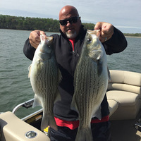 Cultural Heritage Curator Wiper Sniper Fishing in Bloomington IN