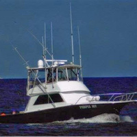 Cultural Heritage Curator Purple Jet Fishing Charters in Point Pleasant Beach NJ